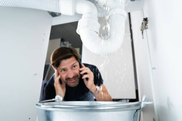 Best Best Plumbers Near Me  in Hill N Dale, FL