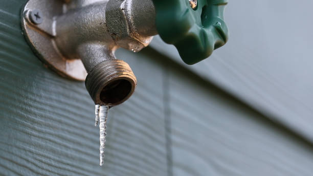 Best Plumbing Repair Near Me  in Hill N Dale, FL