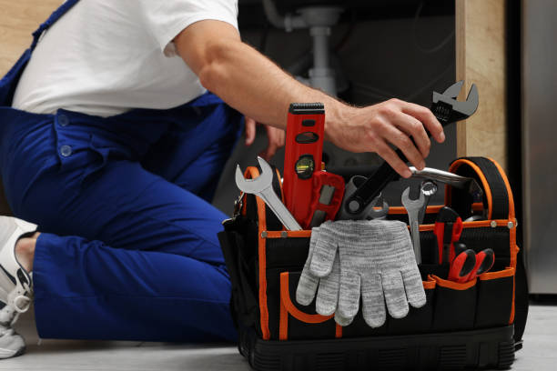 Best Same-Day Plumbing Service  in Hill N Dale, FL