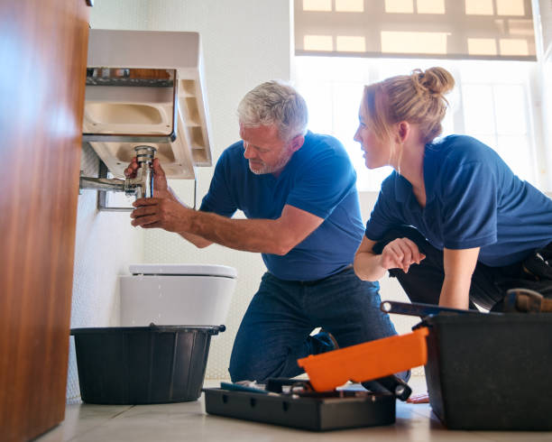 Best Plumbing Services Near Me  in Hill N Dale, FL